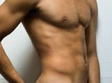 Anatomia Anatomia